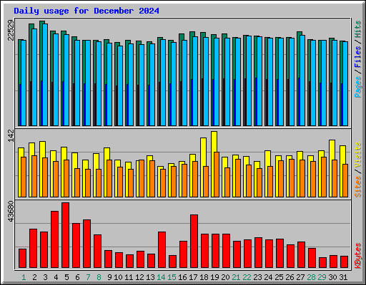 Daily usage for December 2024