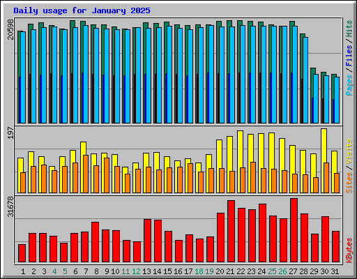 Daily usage for January 2025