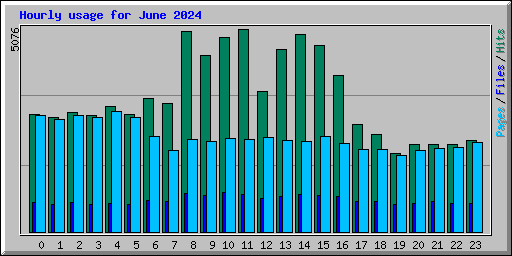 Hourly usage for June 2024