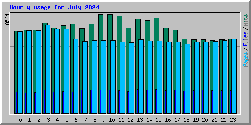 Hourly usage for July 2024
