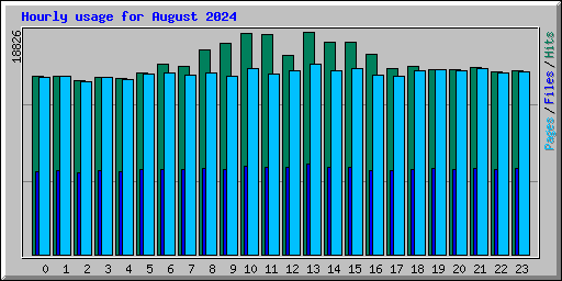 Hourly usage for August 2024