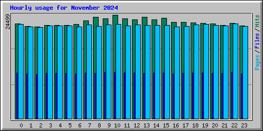 Hourly usage for November 2024