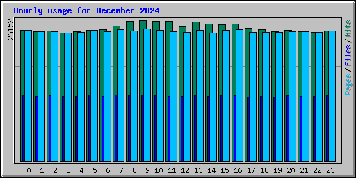 Hourly usage for December 2024