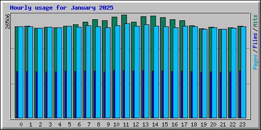 Hourly usage for January 2025
