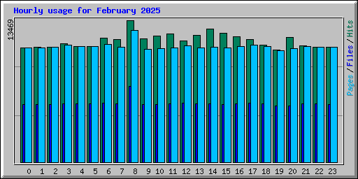 Hourly usage for February 2025